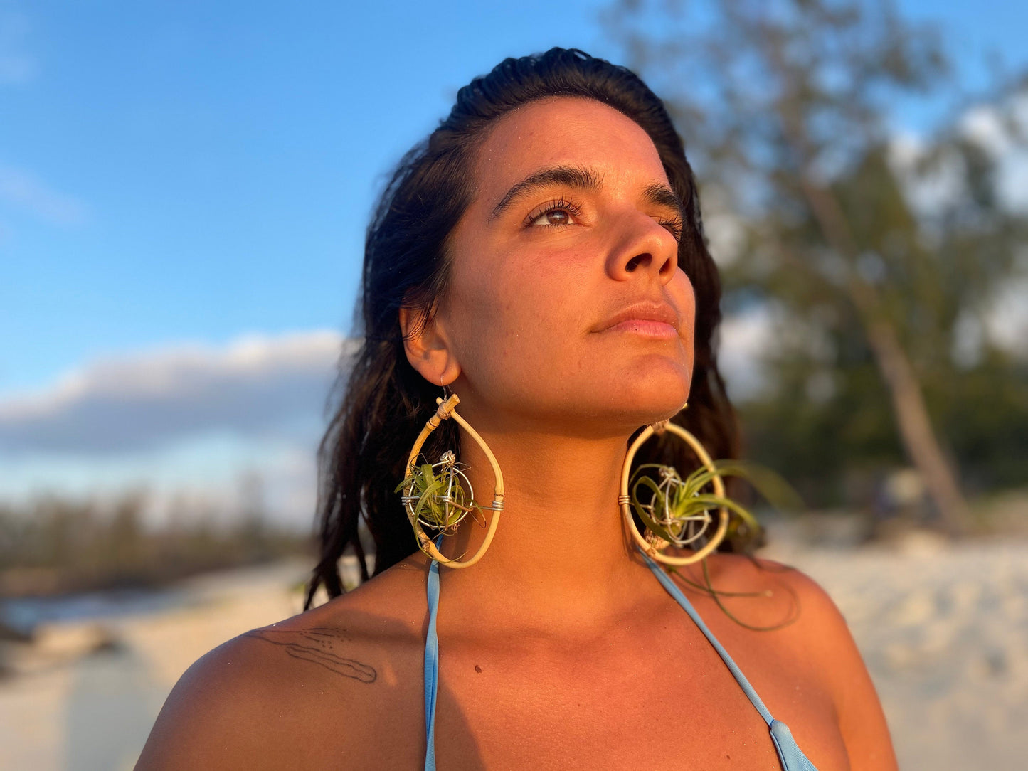 Bamboo Air Plant Organic Hoop Earrings