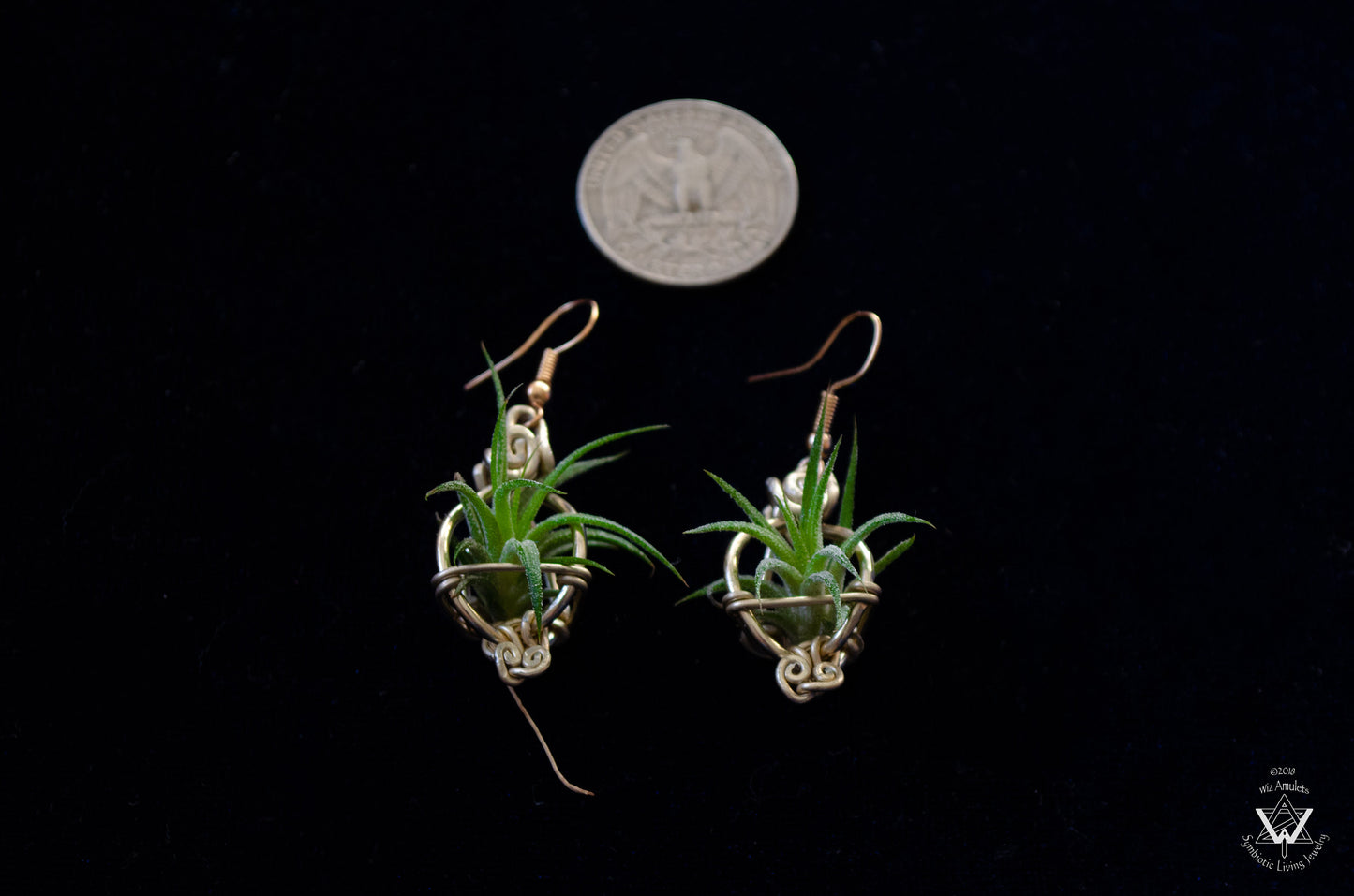Air Plant Original Orb Earrings