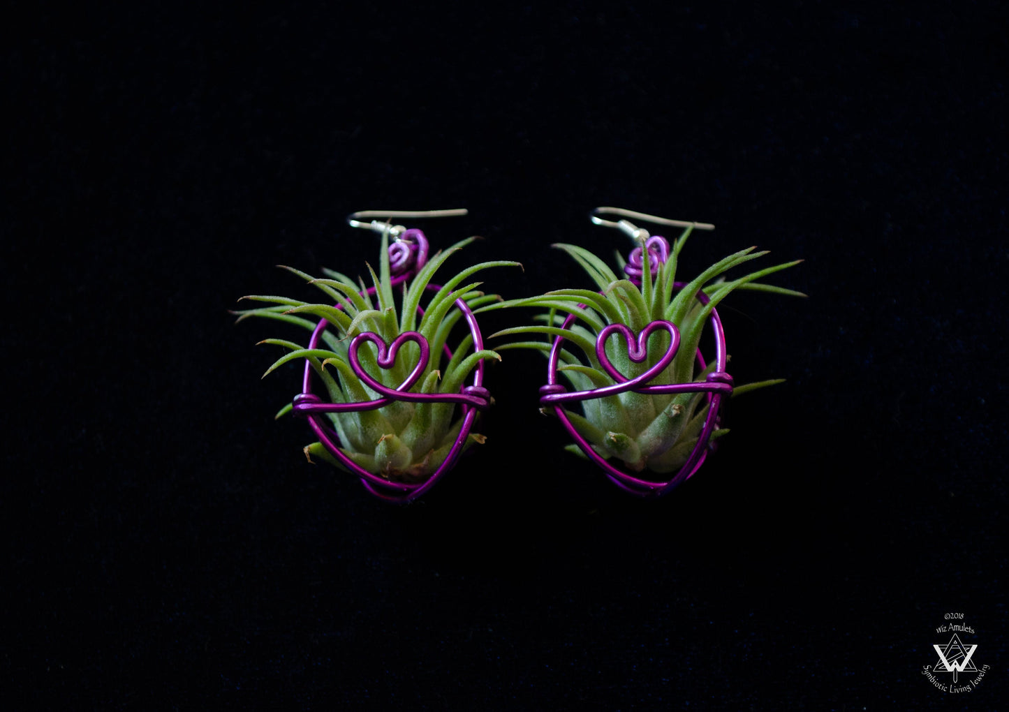 Heart Infinity Air Plant Orb Earrings ~ Heart and Infinity Wire Designs