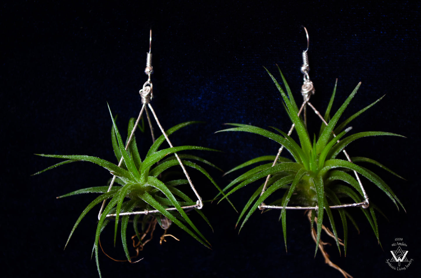 Air Plant Tetrahedron Pyramid Earrings ~ 3D Geometric