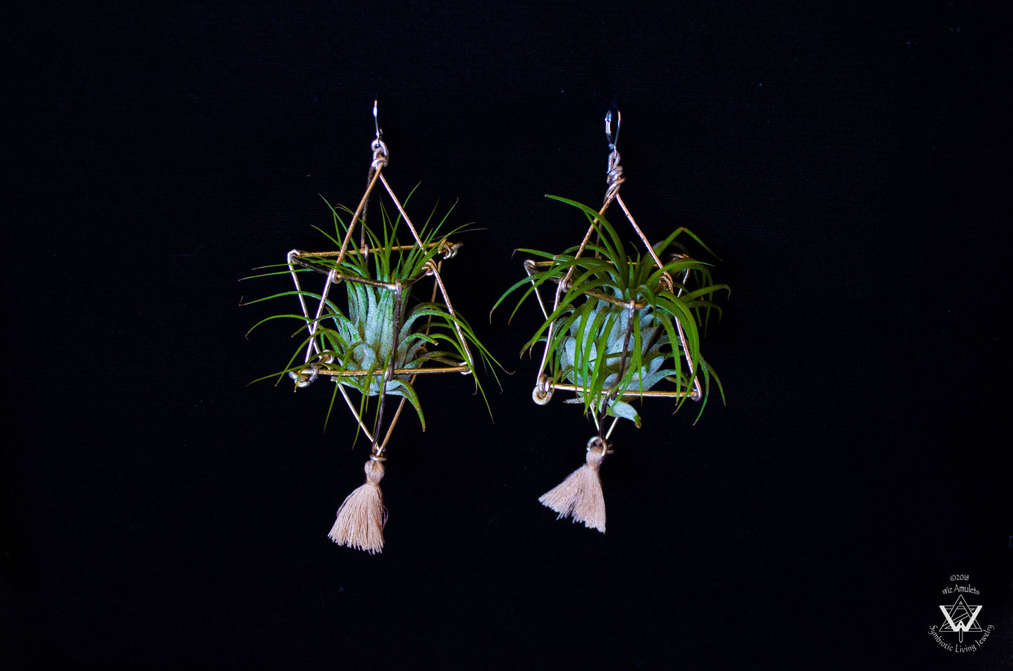 Merkaba Ascension Air Plant Earrings ~ 3D Polyhedron Geometric Earrings