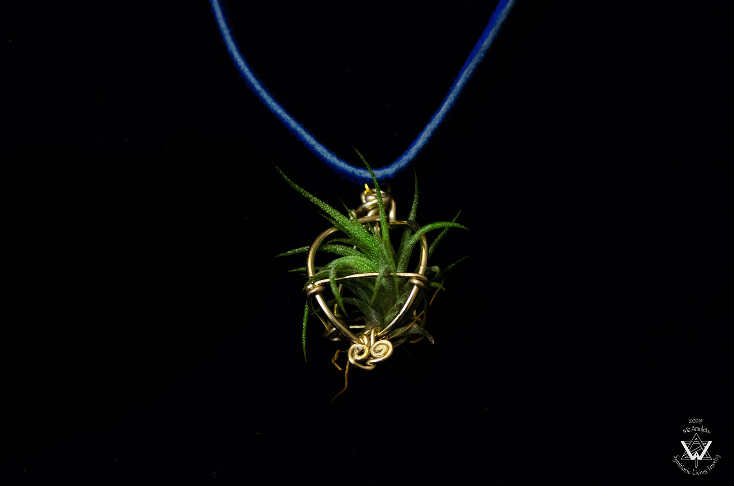 Air Plant Orb Pendant ~ Dainty Minimalist