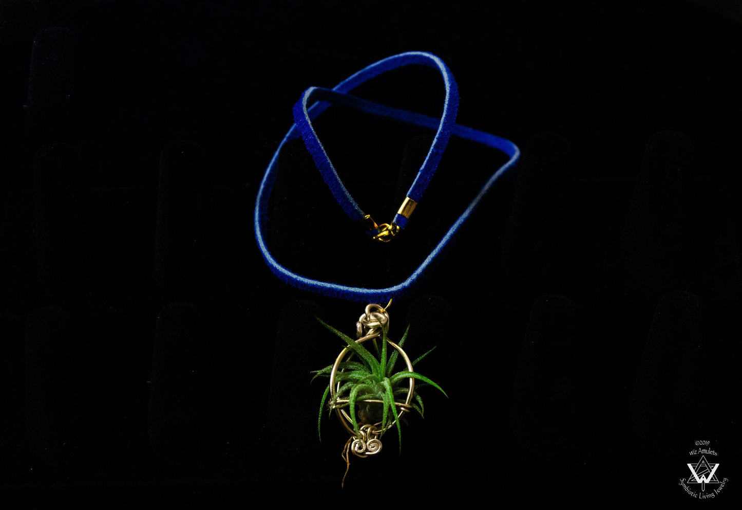 Air Plant Orb Pendant ~ Dainty Minimalist