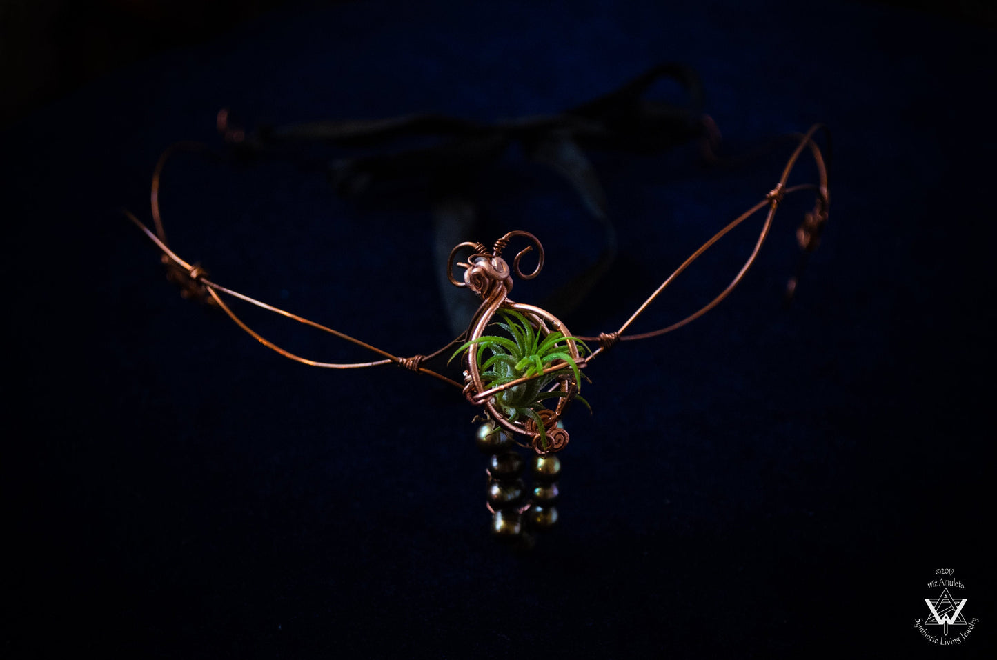 Air Plant Fairy Circlet Tiara Diadem Crown