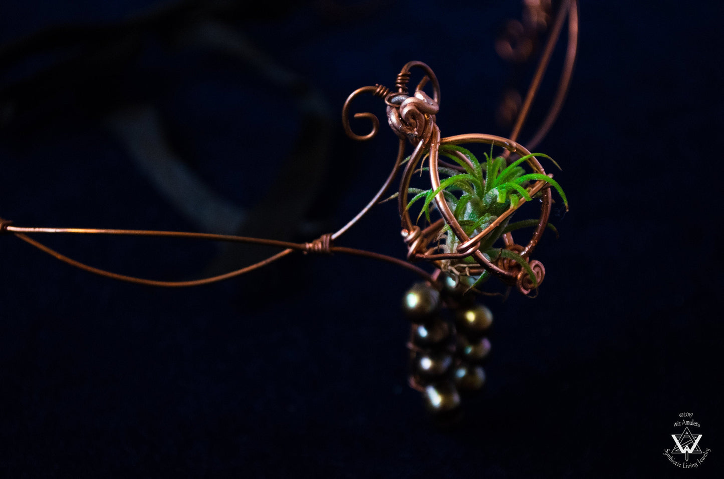 Air Plant Fairy Circlet Tiara Diadem Crown