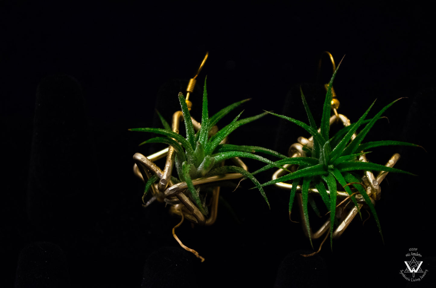 Triple Triangle Geometric Air Plant Earrings