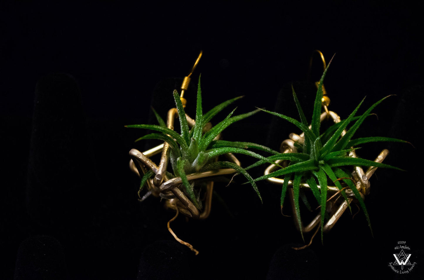 Triple Triangle Geometric Air Plant Earrings