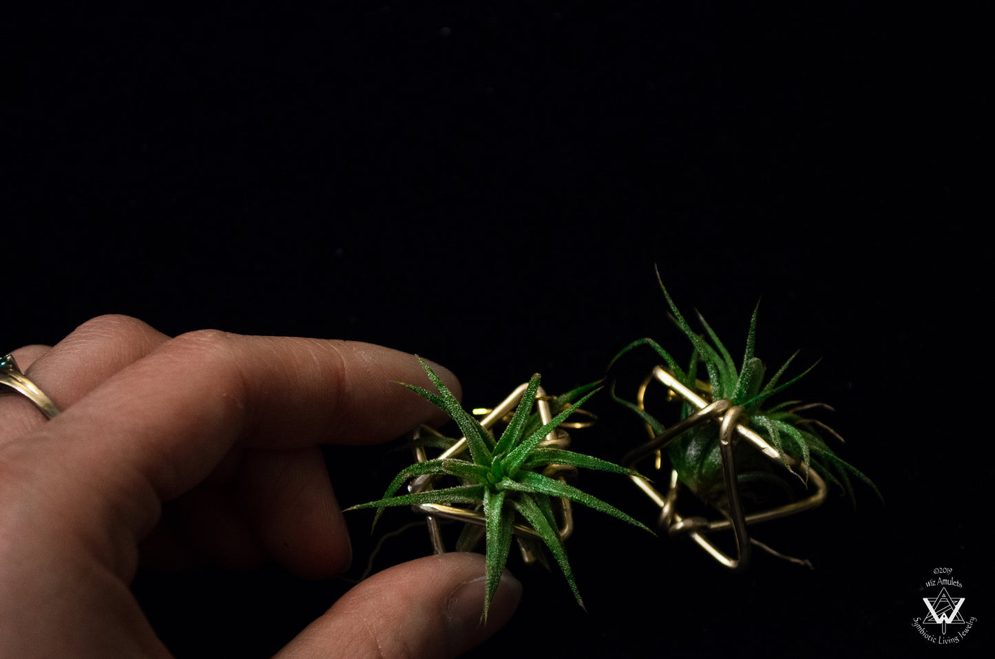 Triple Triangle Geometric Air Plant Earrings