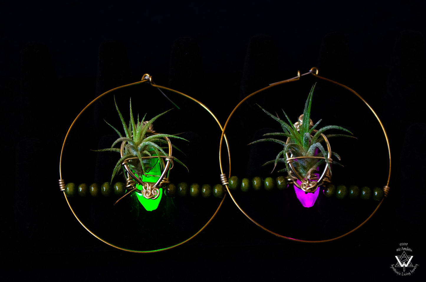 Glow Grow Air Plant Hoop Earrings ~  LED Illuminated
