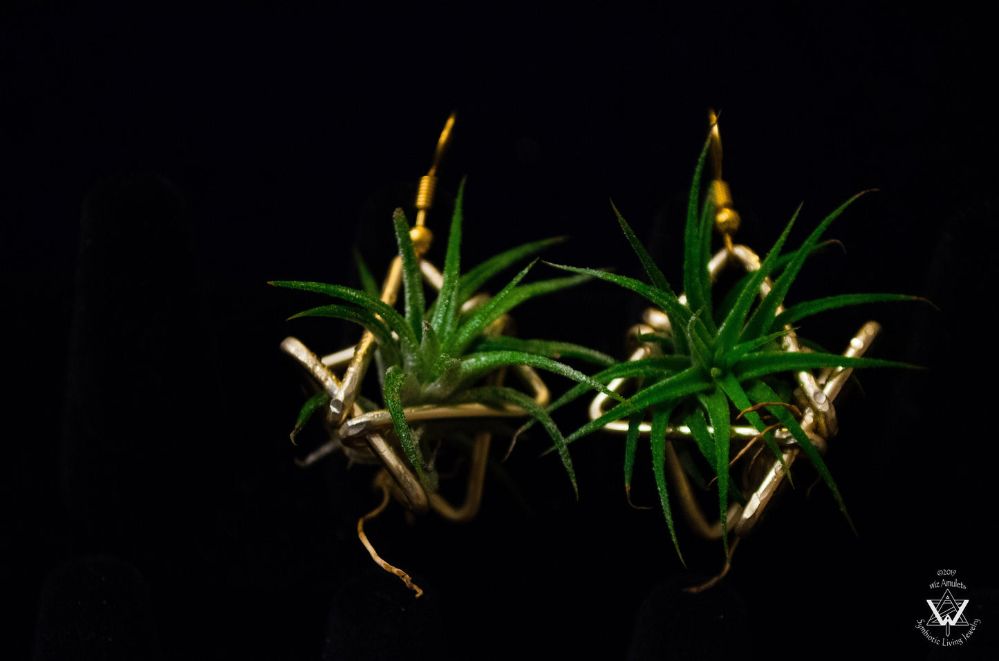 Triple Triangle Geometric Air Plant Earrings