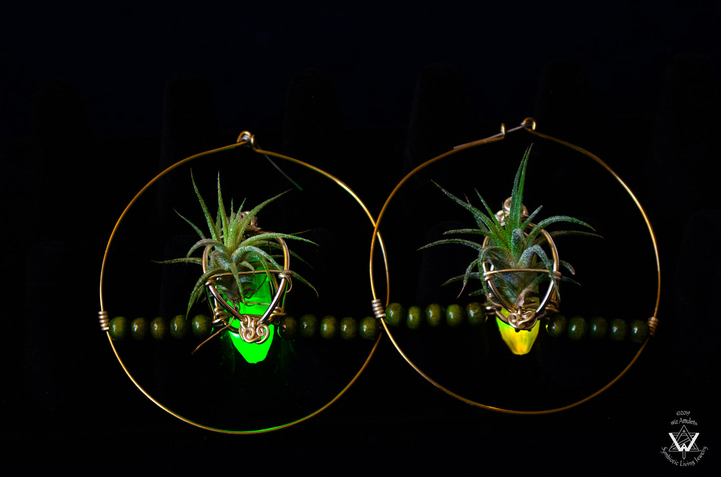 Glow Grow Air Plant Hoop Earrings ~  LED Illuminated