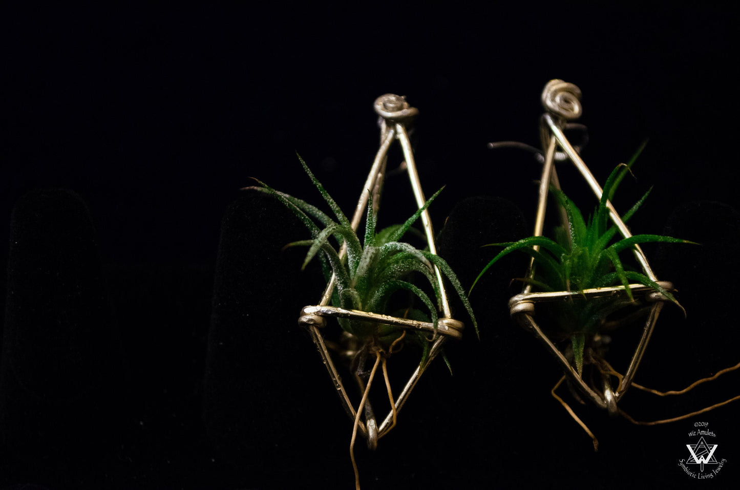 Long Diamond Air Plant Earrings ~ Geometric Tetrahedron Earrings