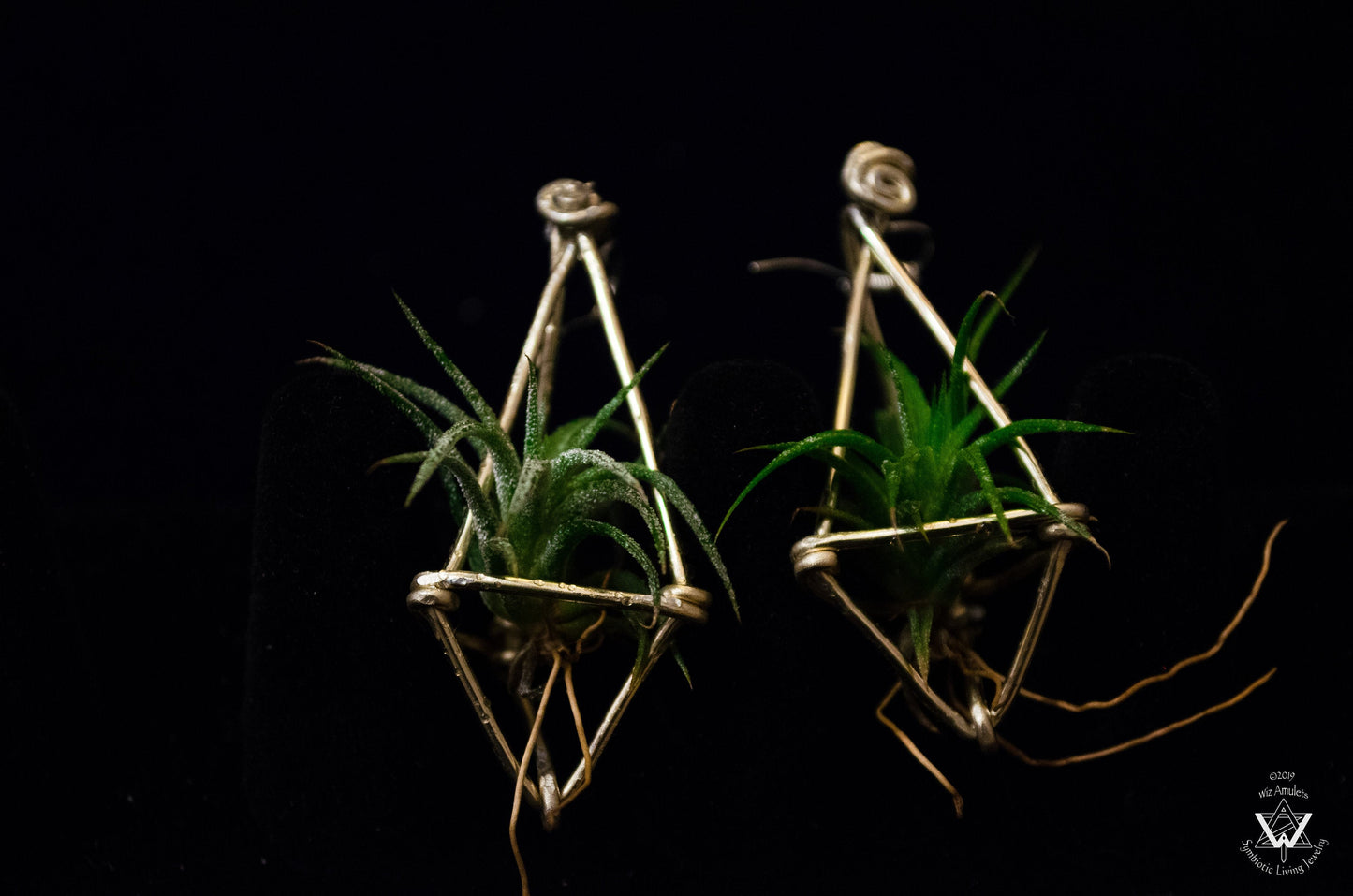 Long Diamond Air Plant Earrings ~ Geometric Tetrahedron Earrings