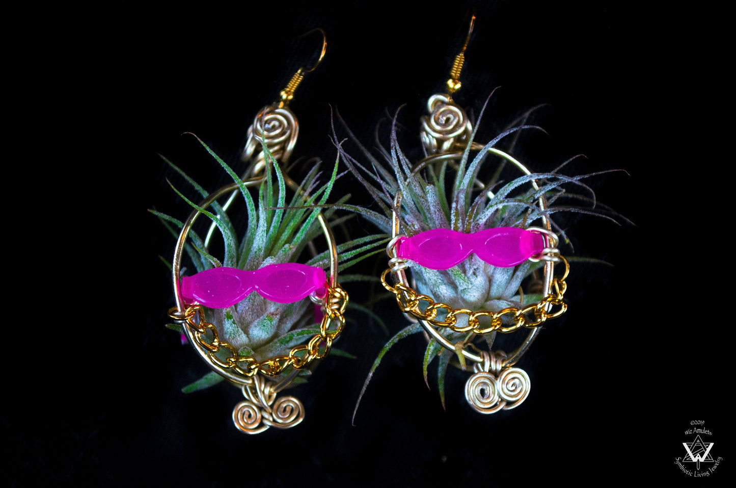 Kawaii Cool Cat Air Plant Earrings ~ Hip Hop Sunglasses Character Earrings