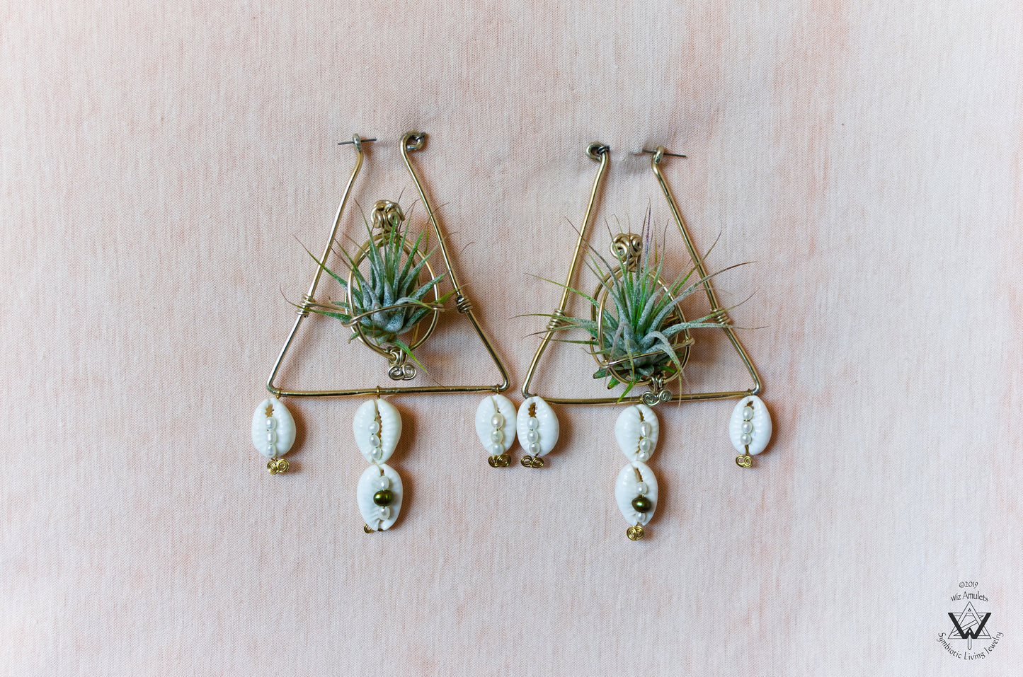 Triangular Air Plant Hoop Earrings ~ Geometric Tillandsia Earrings