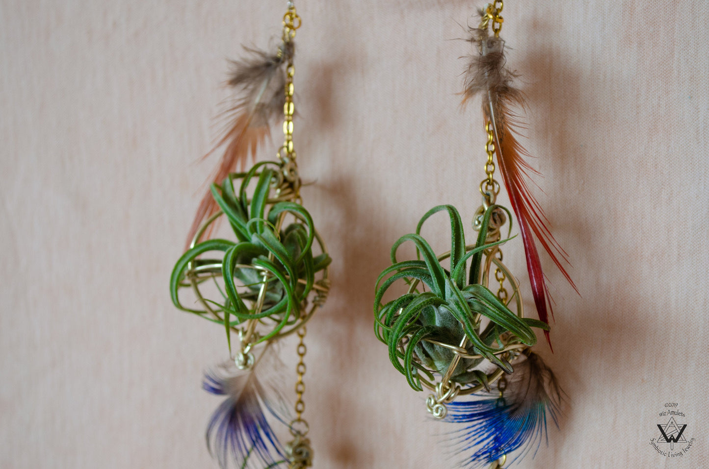 Double Dangle Air Plant Orb Feather Earrings Clips ~  Cascading Earrings Boho Chic
