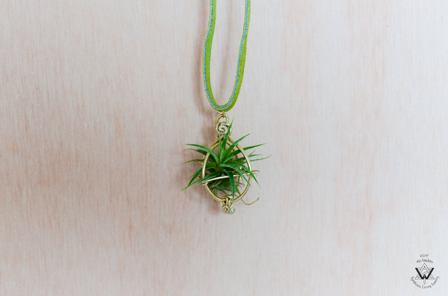Air Plant Orb Pendant ~ Dainty Minimalist