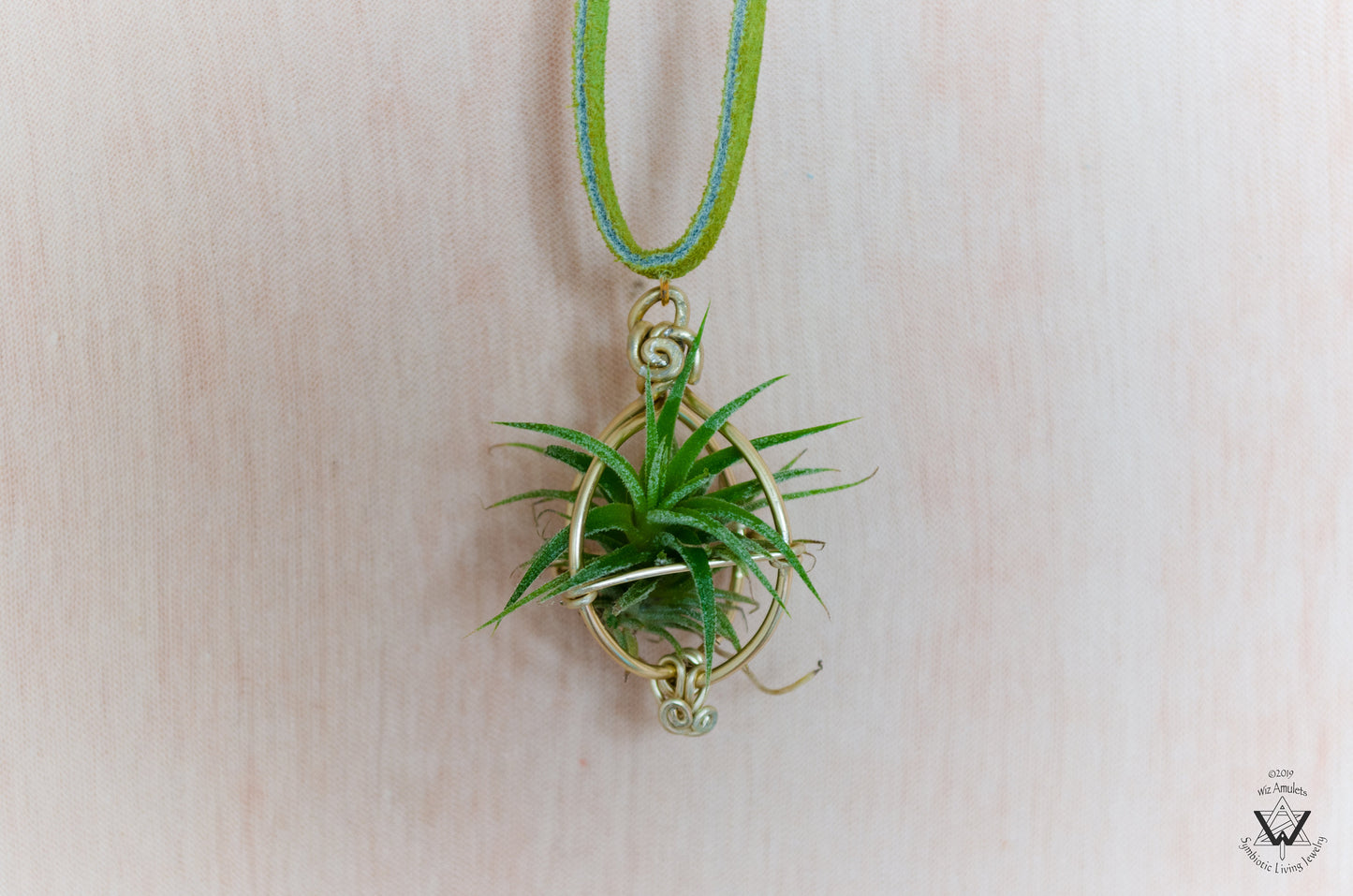 Air Plant Orb Pendant ~ Dainty Minimalist