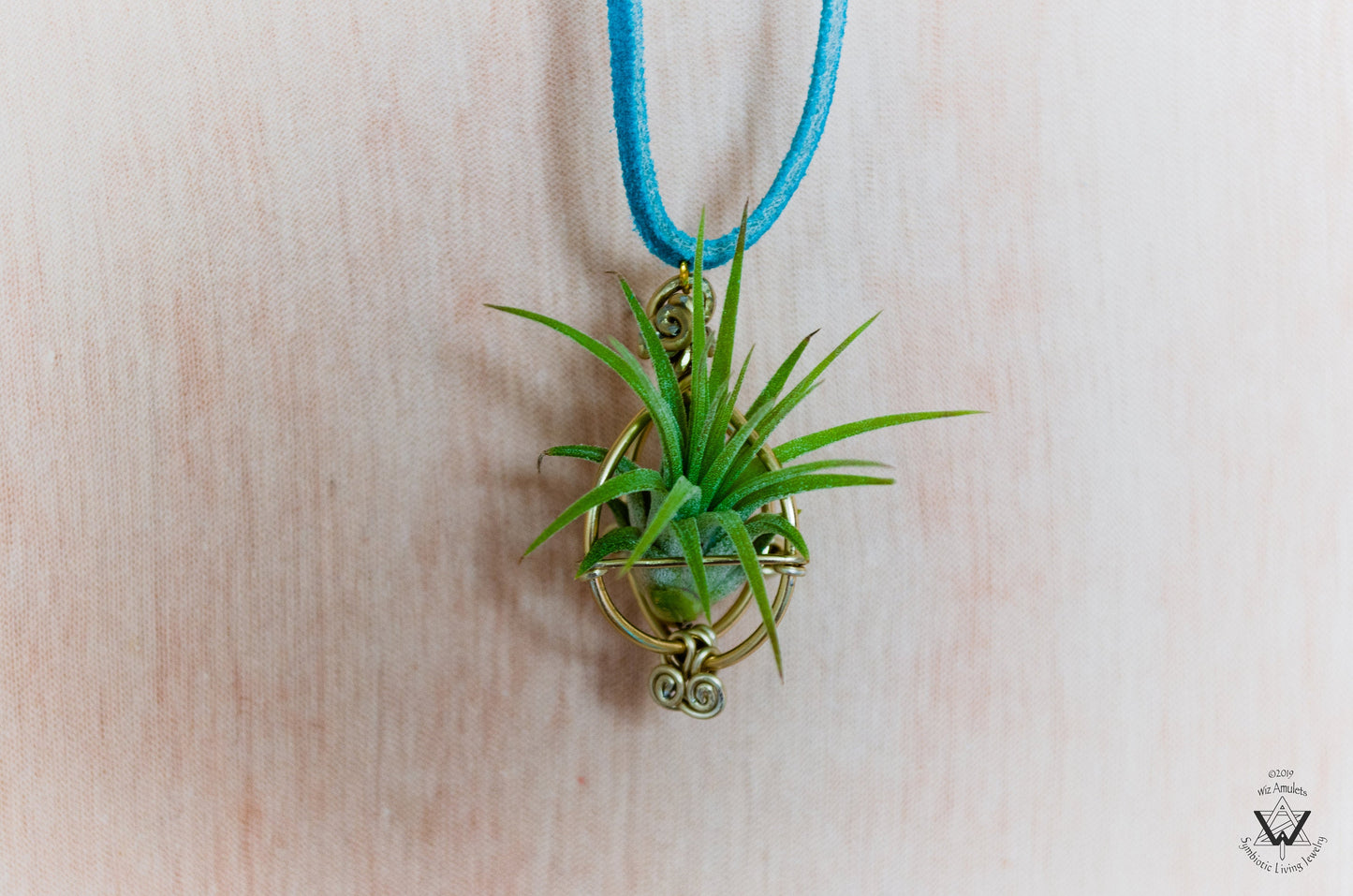 Air Plant Orb Pendant ~ Dainty Minimalist