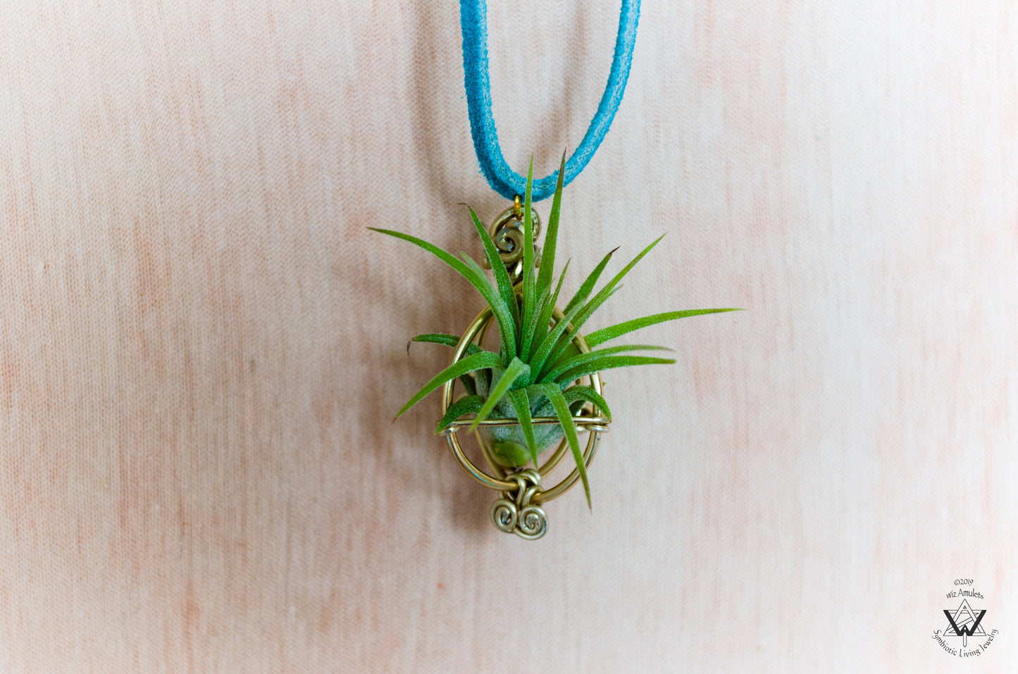 Air Plant Orb Pendant ~ Dainty Minimalist