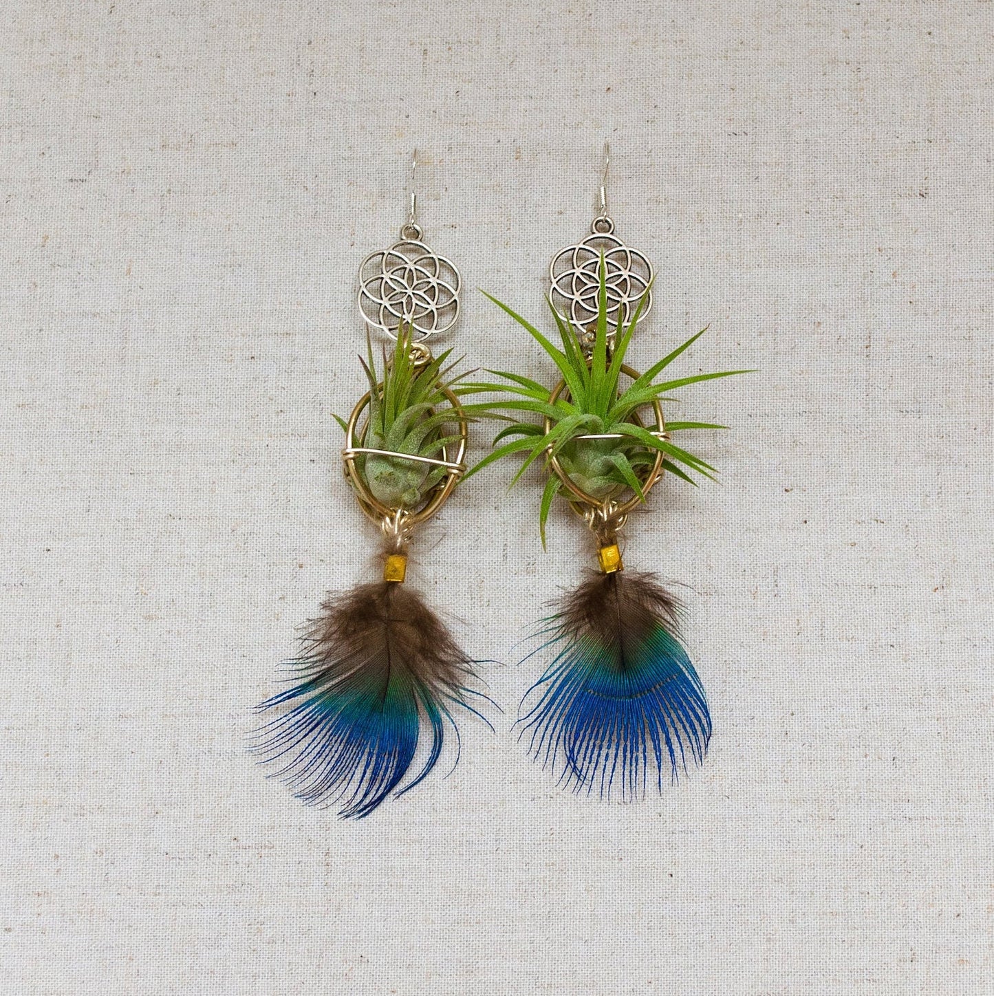 Double Dangle Air Plant Orb Feather Earrings Clips ~  Cascading Earrings Boho Chic