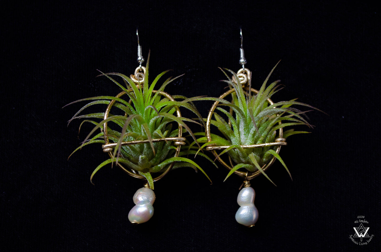 Strawberry Air Plant Earrings ~ Straw-bAiry