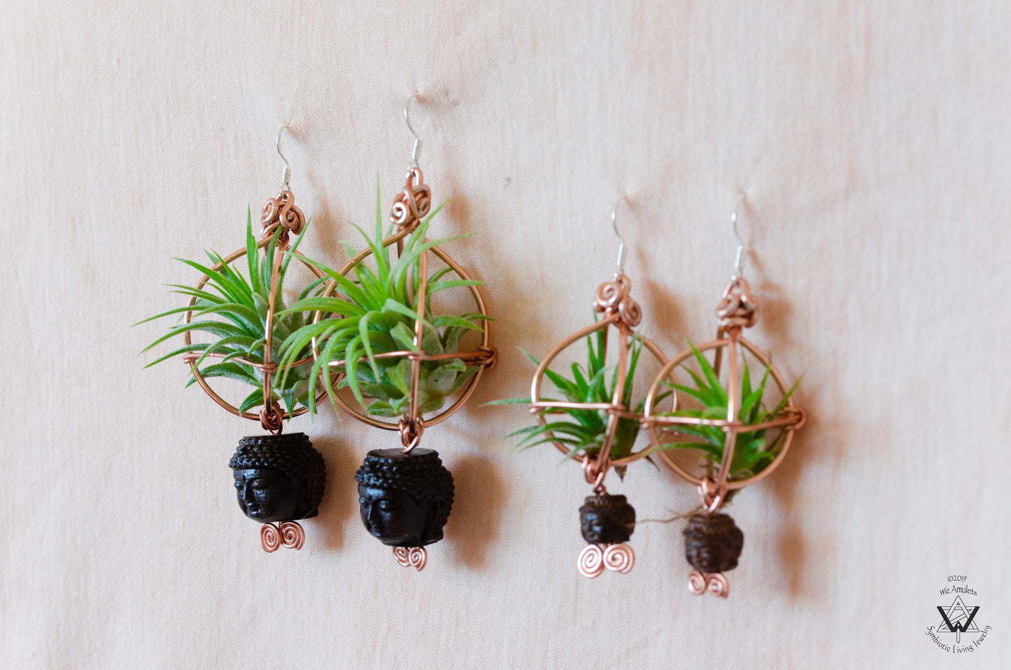 Strawberry Air Plant Earrings ~ Straw-bAiry