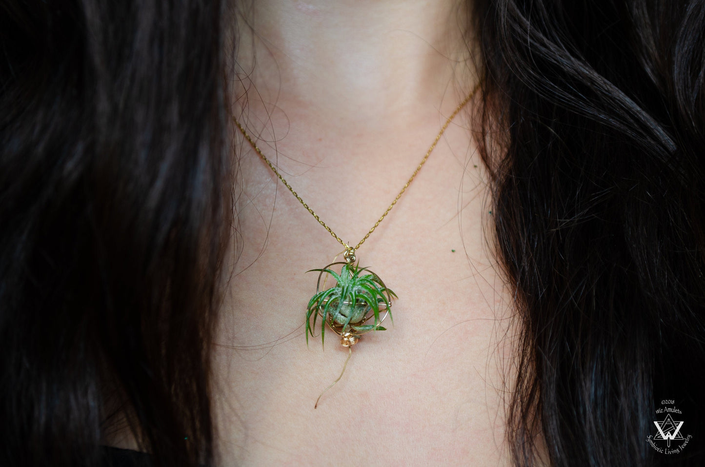 Minimalist 14K Gold Air Plant Orb Pendant ~ Dainty