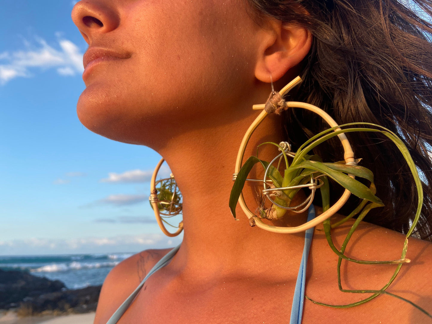 Bamboo Air Plant Organic Hoop Earrings