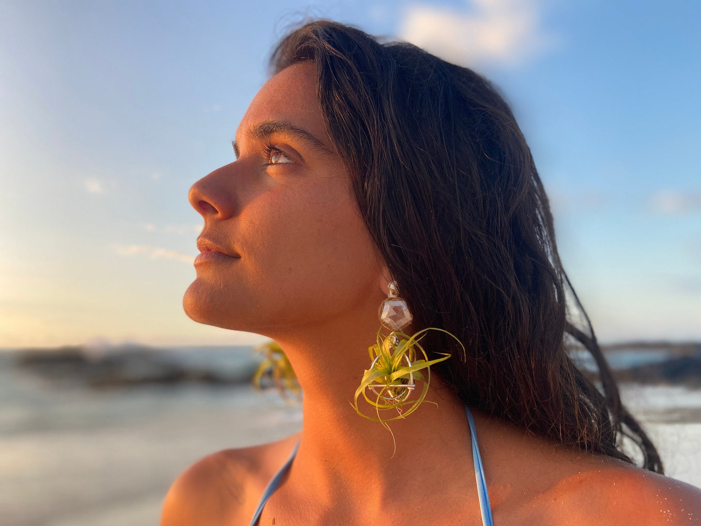 Geometric Crystal Ball Air Plant Stud Earrings - Metaphysical Platonic Solids