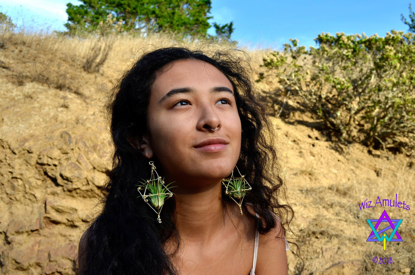 Merkaba Ascension Air Plant Earrings ~ 3D Polyhedron Geometric Earrings