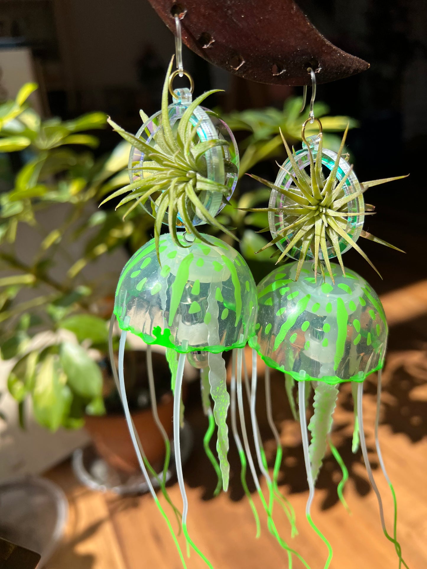 Jellyfish Glow Air Plant Earrings