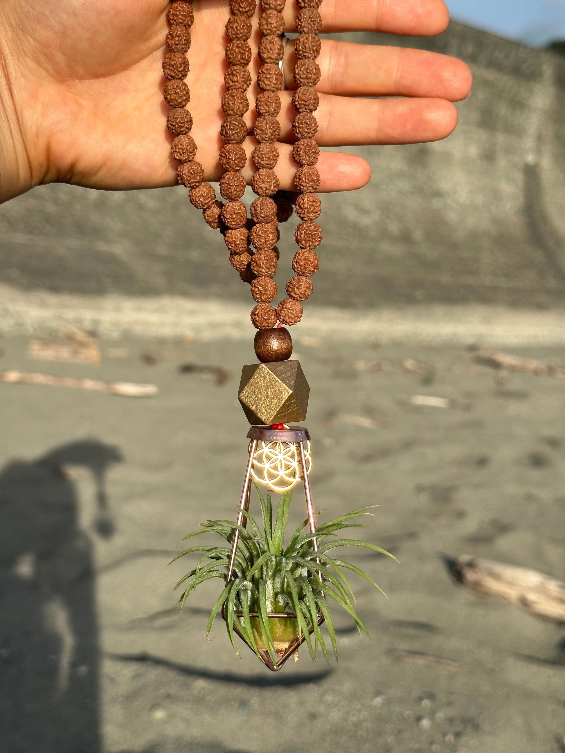 Rudraksha Monk Prayer Bead Air Plant Necklace – AirPlantNina