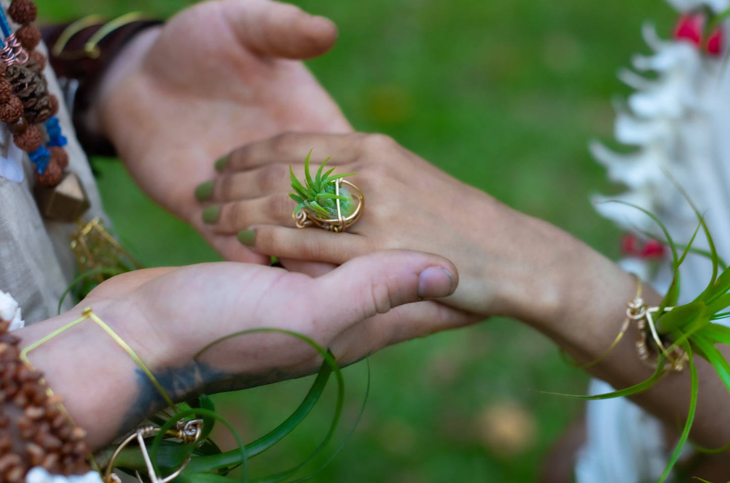 Air Plant Orb Terrarium Ring