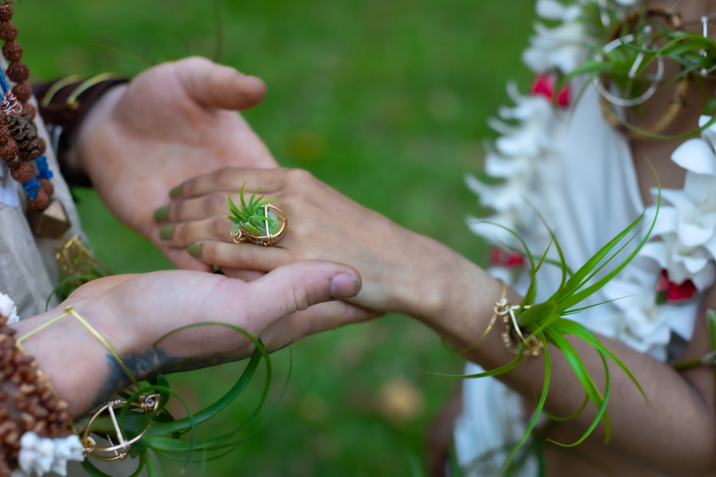 Air Plant Orb Terrarium Ring