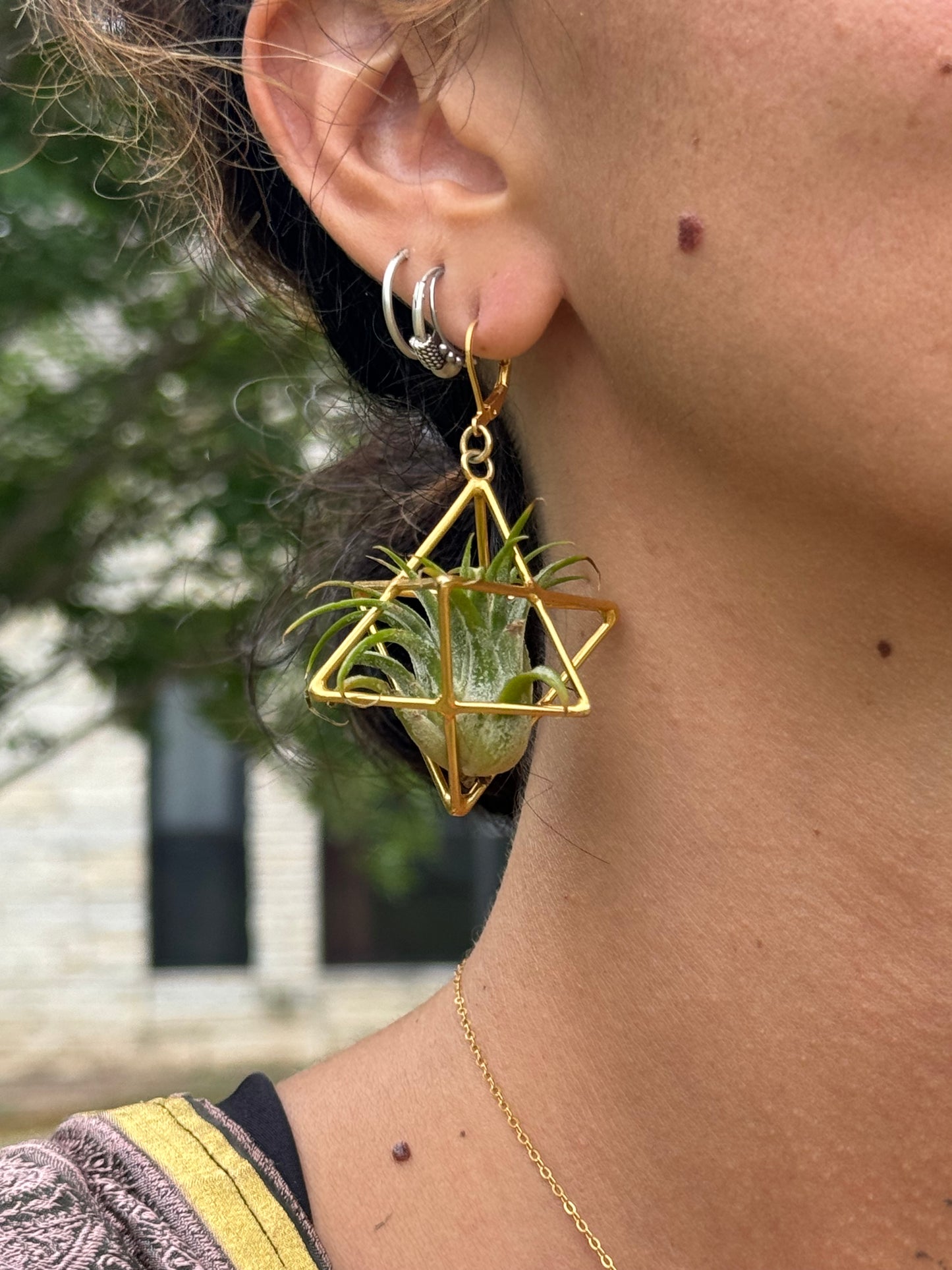 24K Gold Merkaba Ascension Air Plant Earrings ~ 3D Polyhedron Geometric Earrings