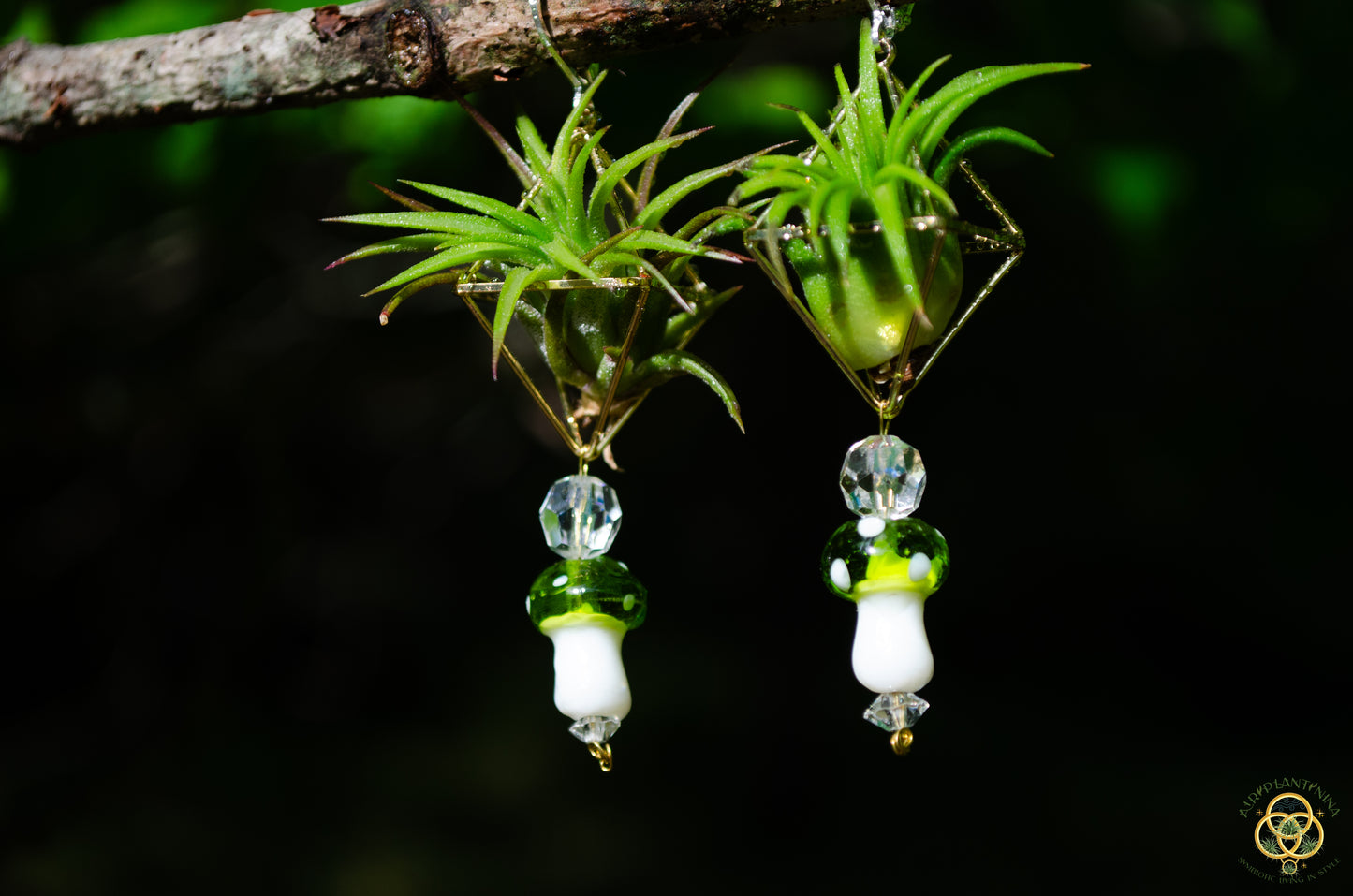 Glass Mushroom Air Plant Earrings ~ Diamond Octahedron Earrings