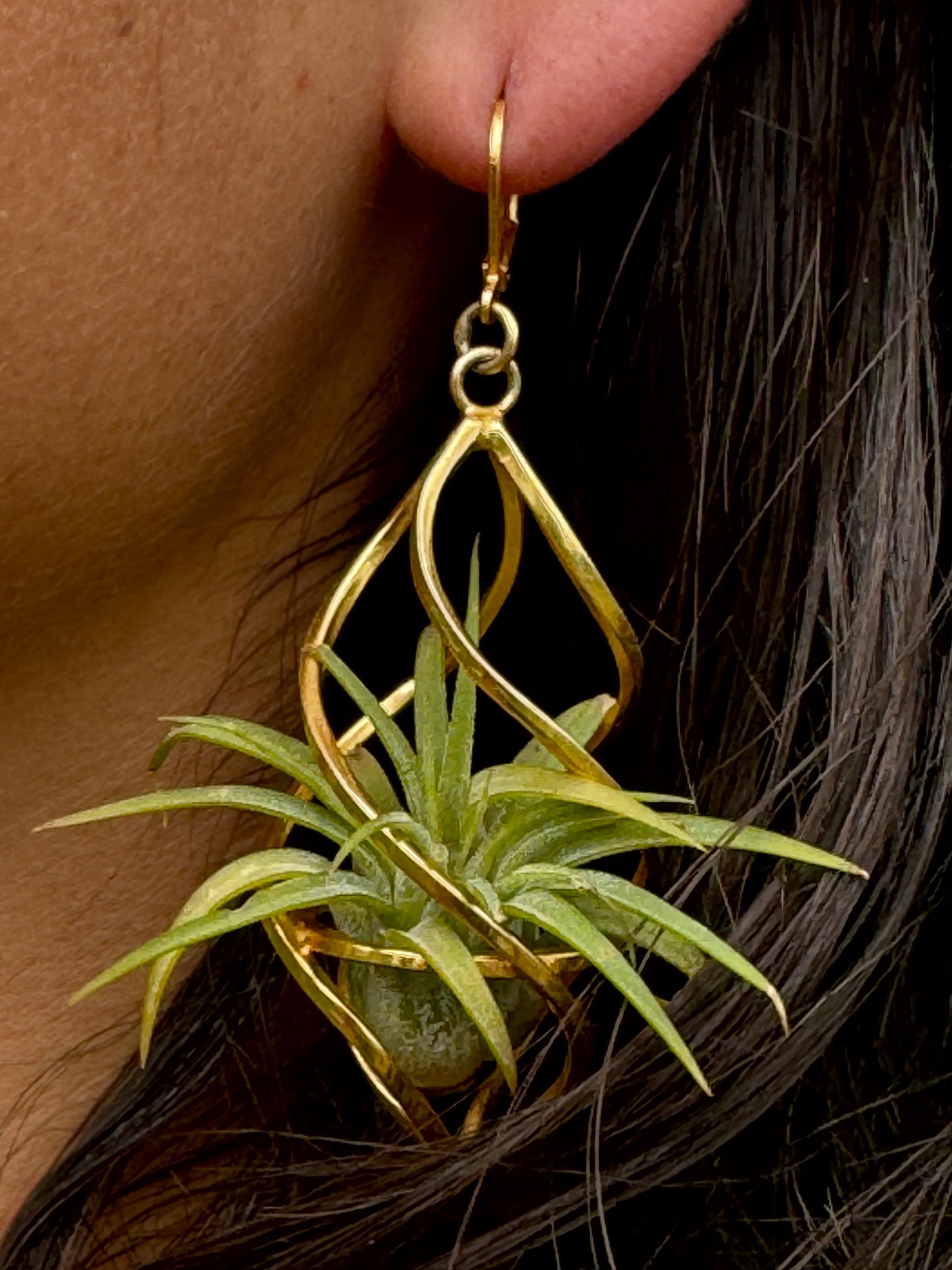 24K Gold Spiral Spindel Air Plant Earrings ~ Luxury Geometric Earrings