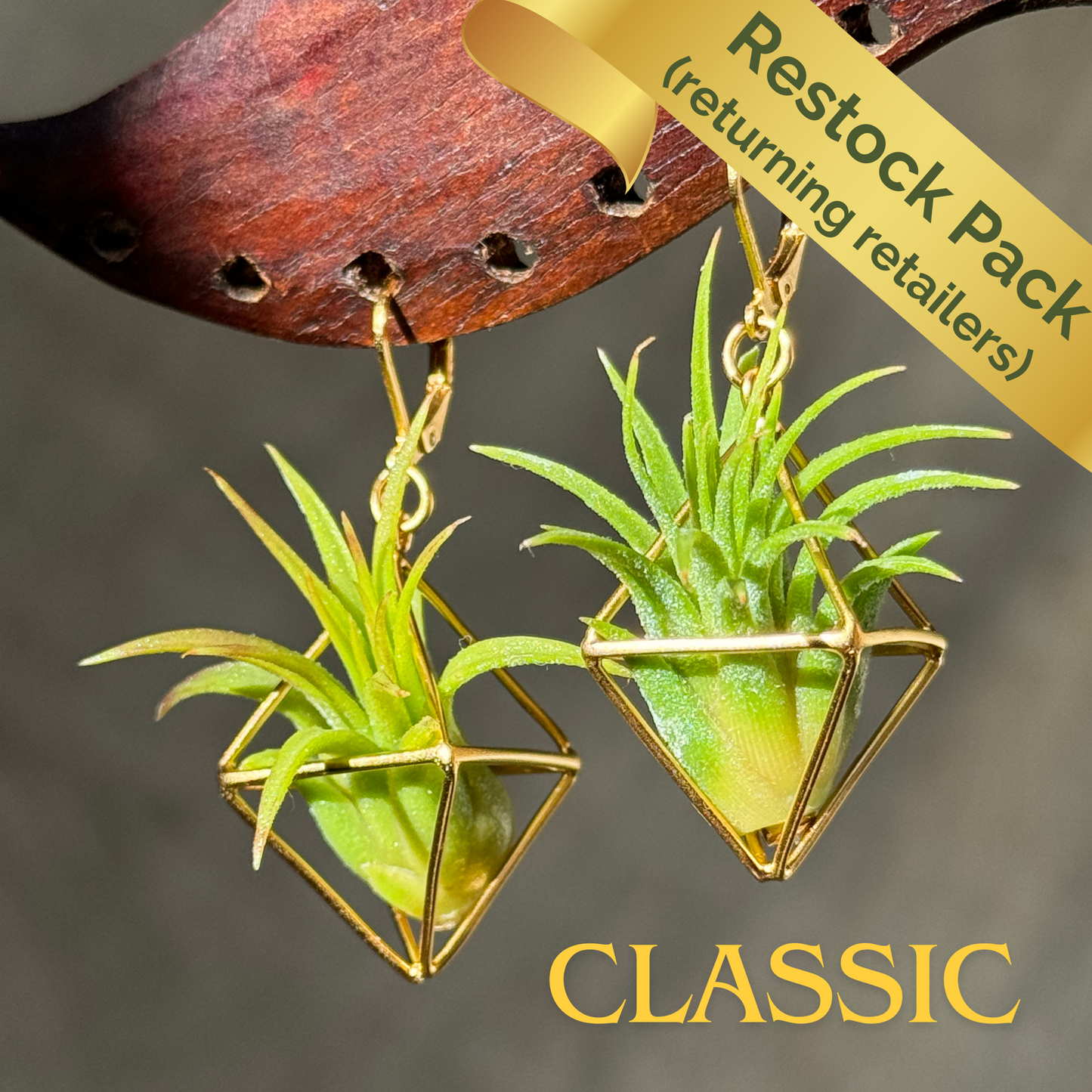 10 PACK RESTOCK AIRpreneur Package of Air Plant Earrings & Necklaces