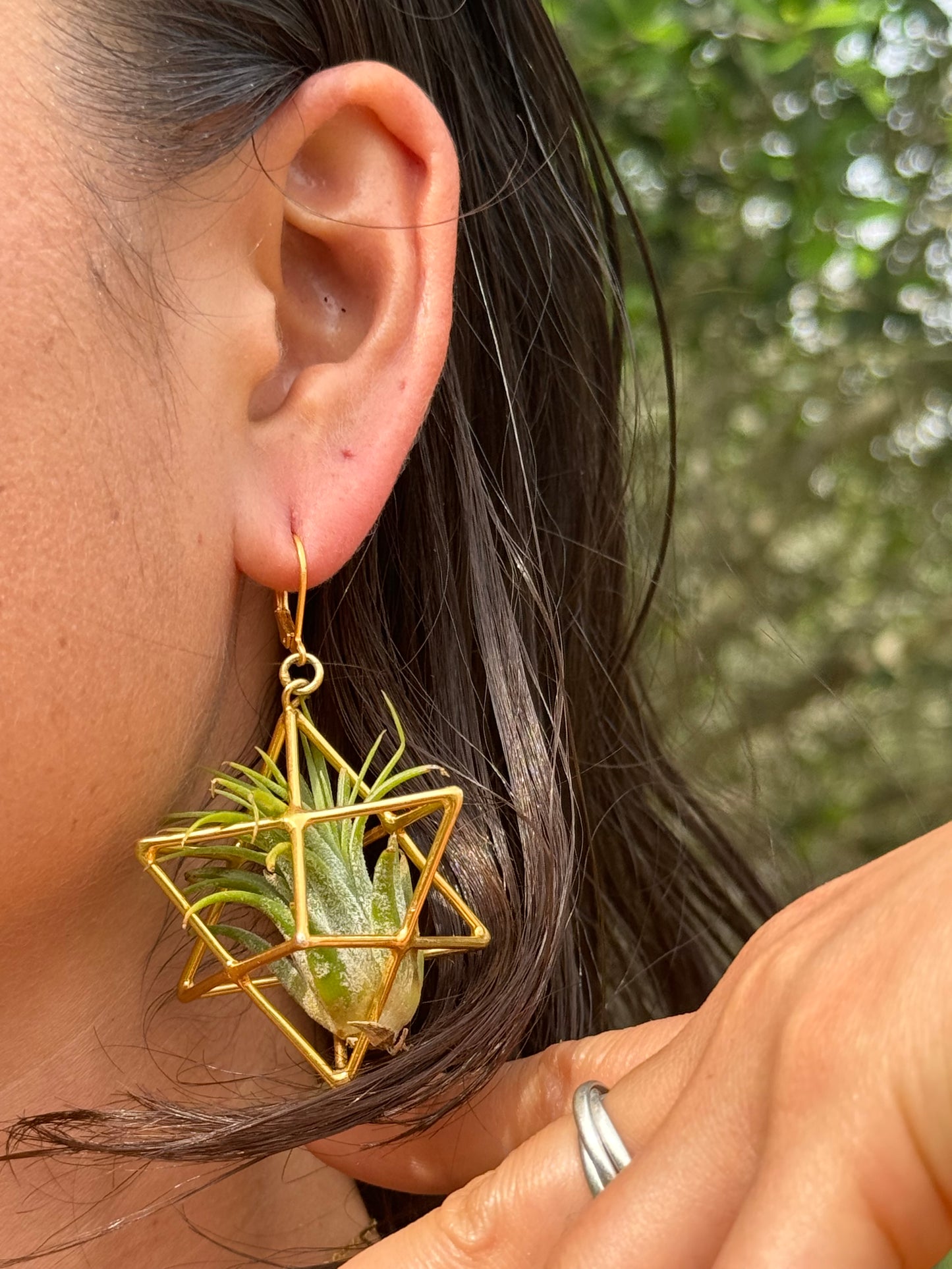 24K Gold Merkaba Ascension Air Plant Earrings ~ 3D Polyhedron Geometric Earrings