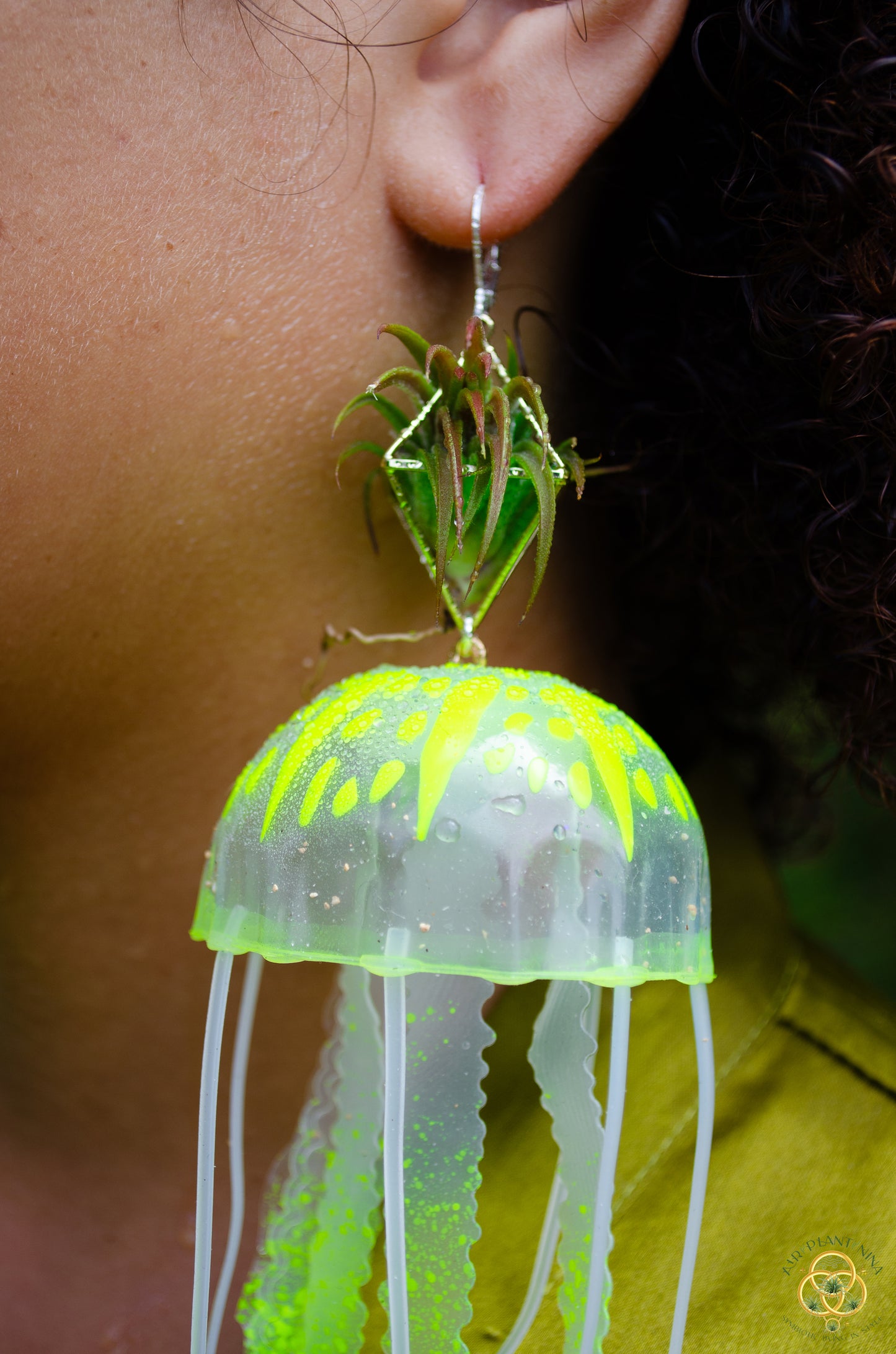 Jellyfish Glow Air Plant Earrings