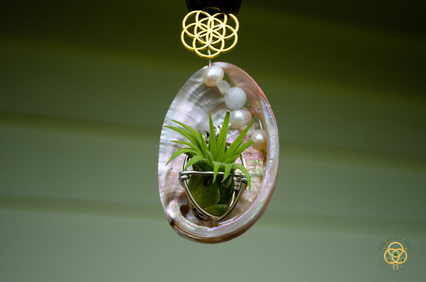 Air Plant Orb Pearl Beaded Abalone Geometric Necklace