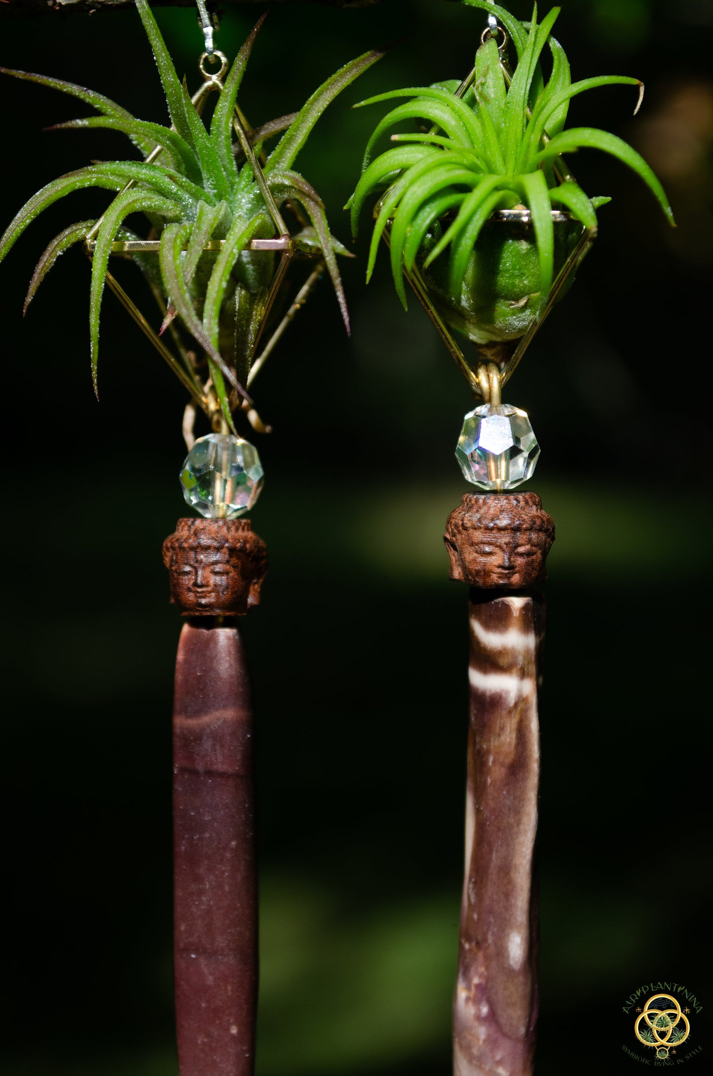 Buddha Air Plant Earrings ~ Diamond Octahedron Earrings