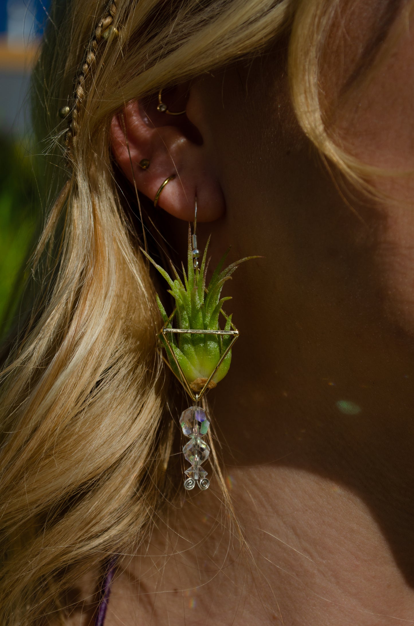 Mini Diamond Octahedron Classic Air Plant Clasp Earrings