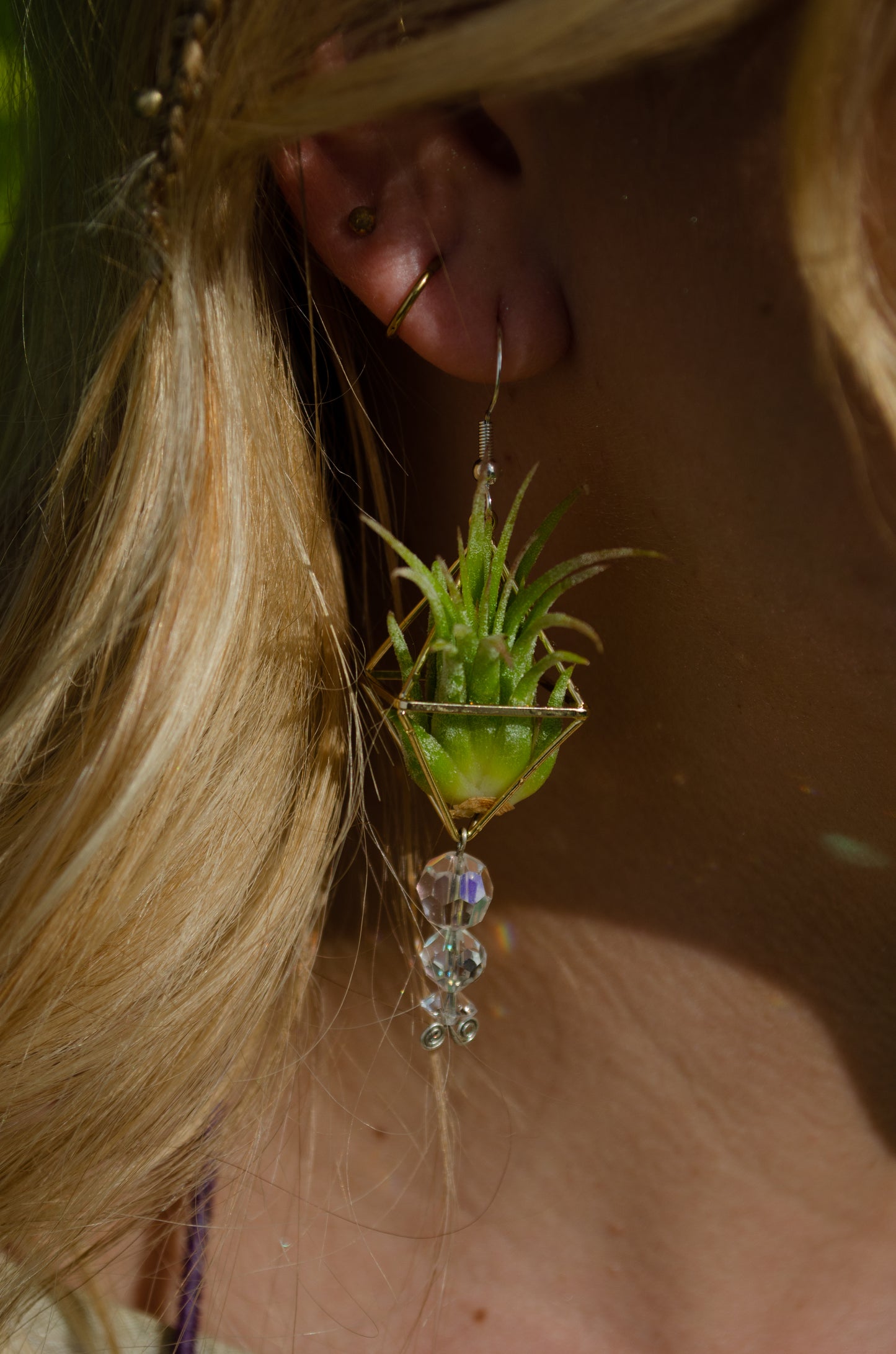 Mini Diamond Octahedron Classic Air Plant Clasp Earrings