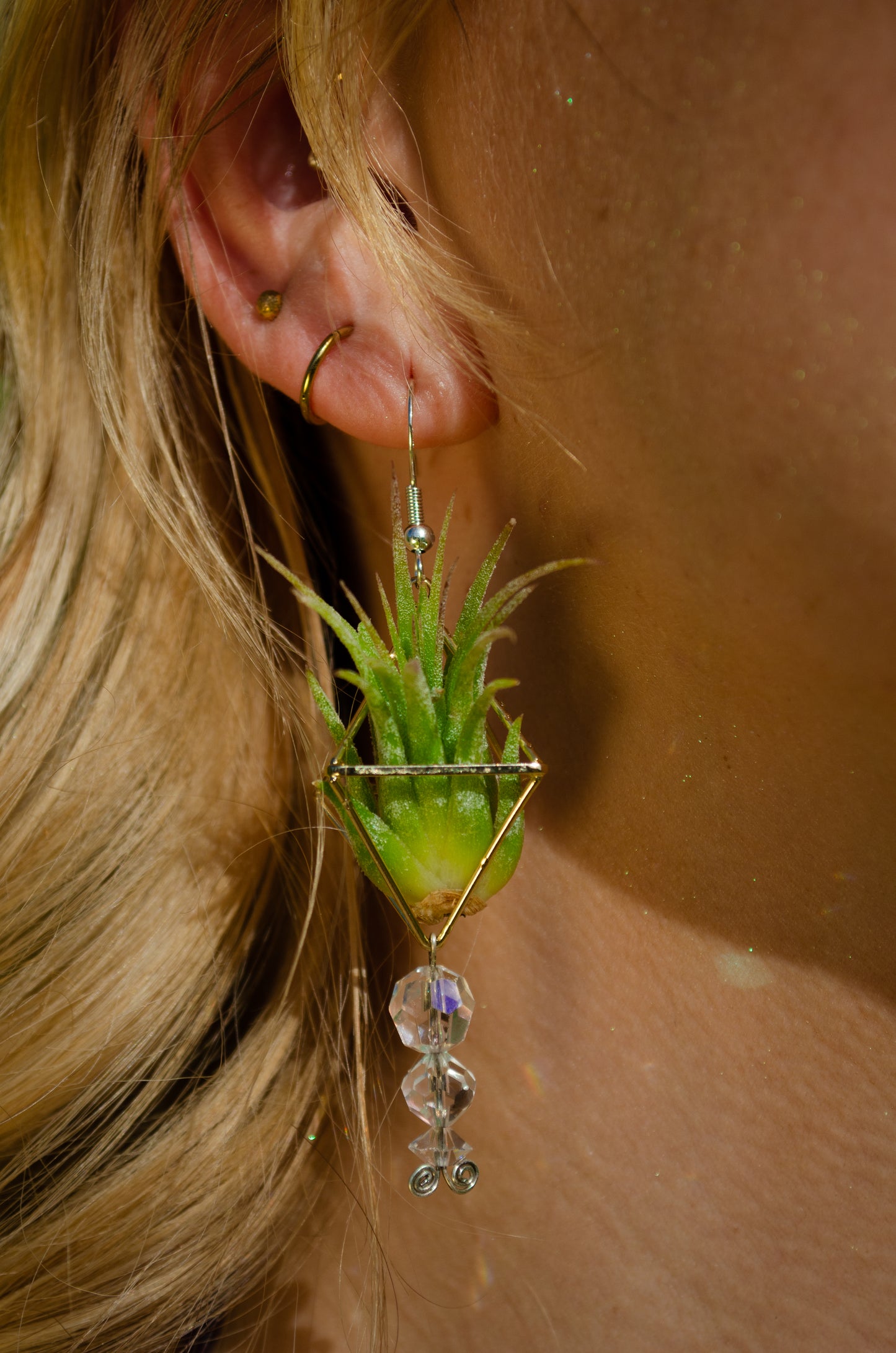 Mini Diamond Octahedron Classic Air Plant Clasp Earrings