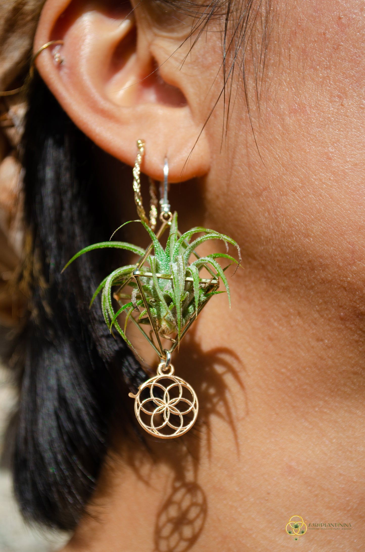 Minimalist Flower of Life Crystal Pearl Air Plant Earrings ~ Diamond Octahedron Earrings