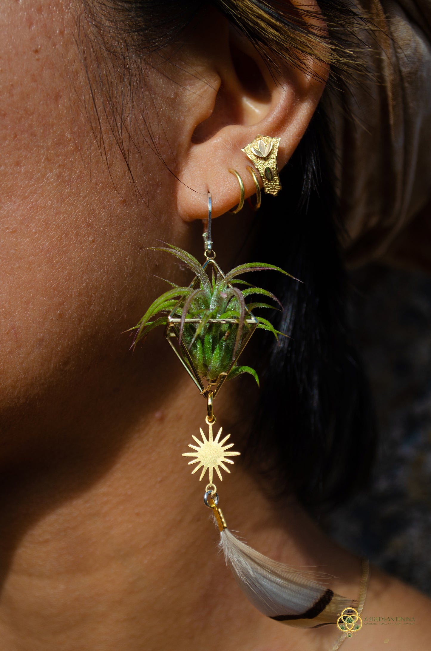 Sun Feather Crystal Air Plant Earrings ~ Diamond Octahedron Earrings