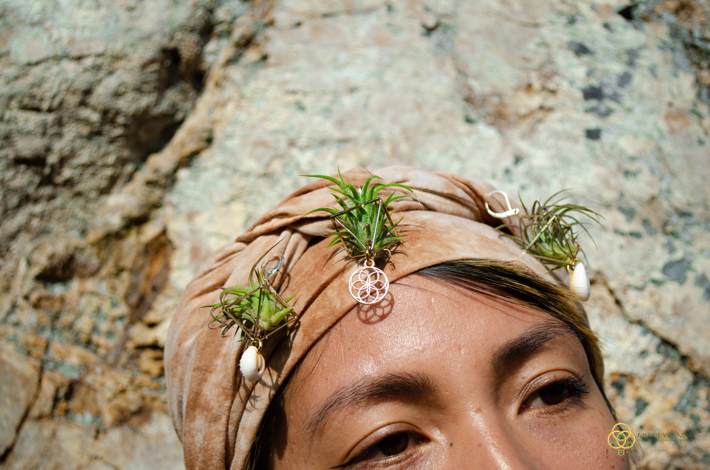 Minimalist Flower of Life Crystal Pearl Air Plant Earrings ~ Diamond Octahedron Earrings
