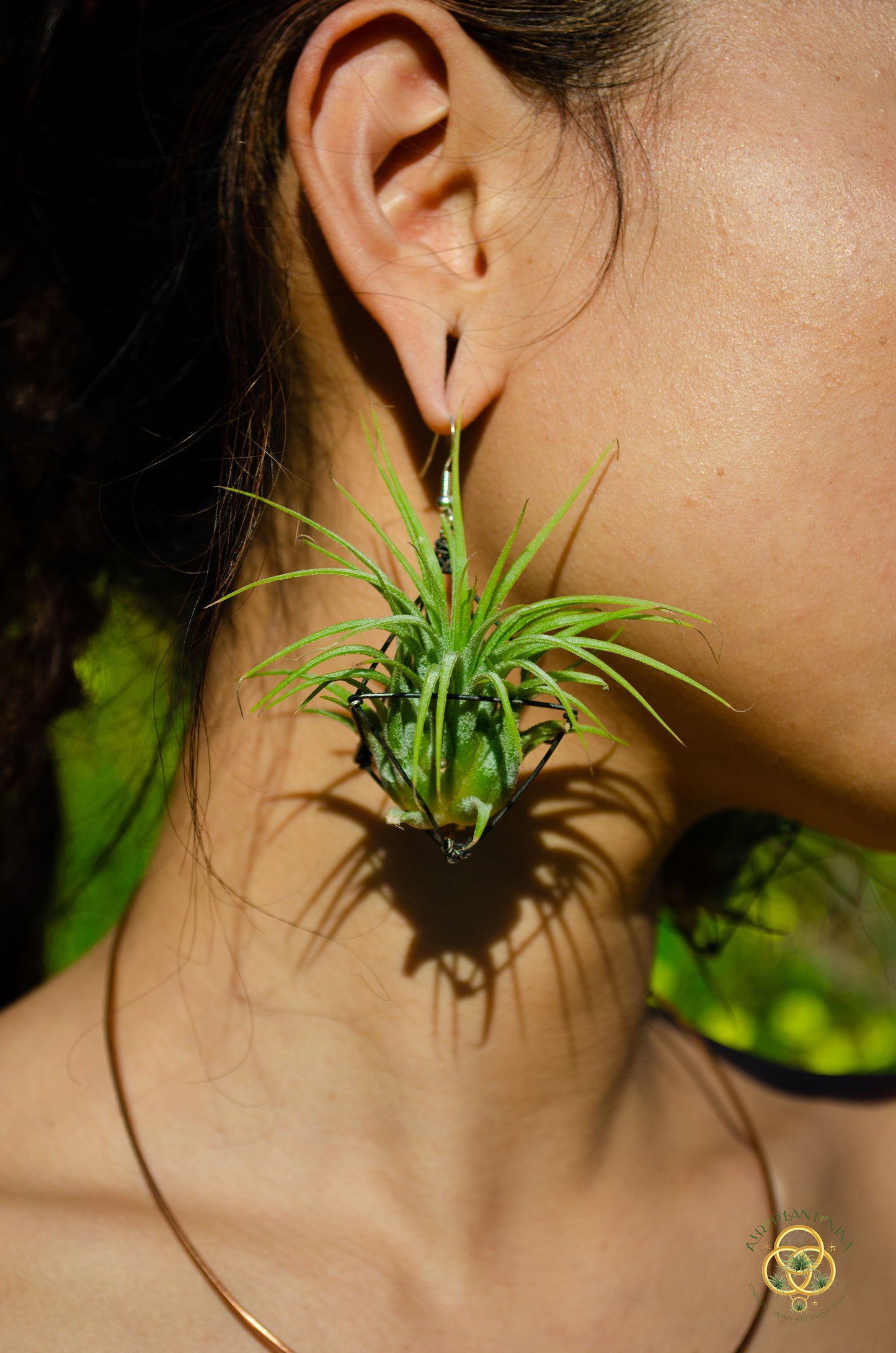 Large Diamond Air Plant Earrings - Geometric Octahedrons (Sterling Silver)